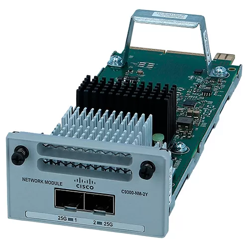 Интерфейсный модуль Cisco C9300-NM-2Y